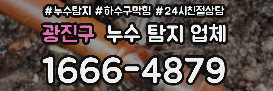 광진구 누수 탐지 업체