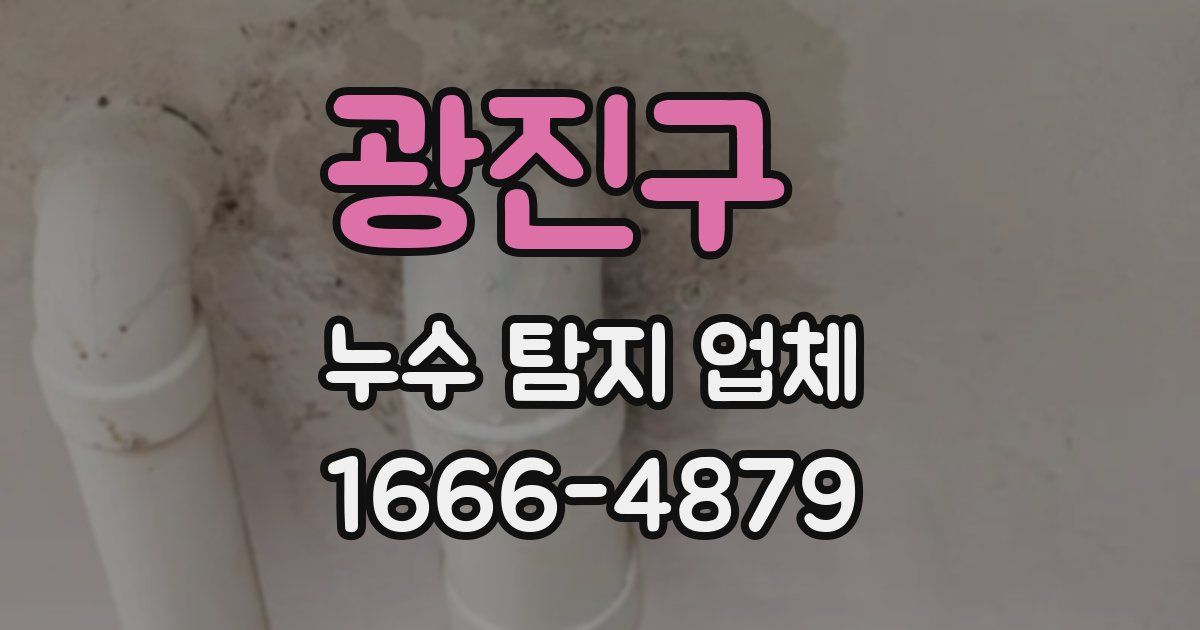 광진구 누수 탐지 업체