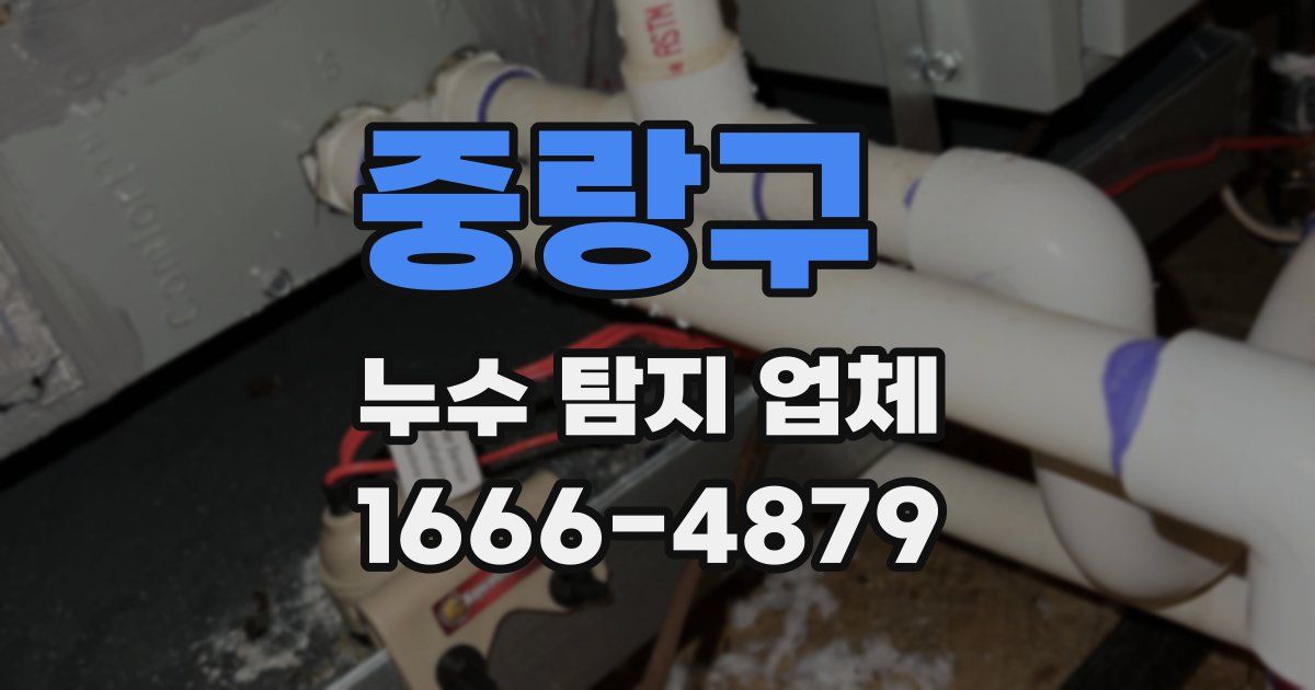 중랑구 누수 탐지 업체