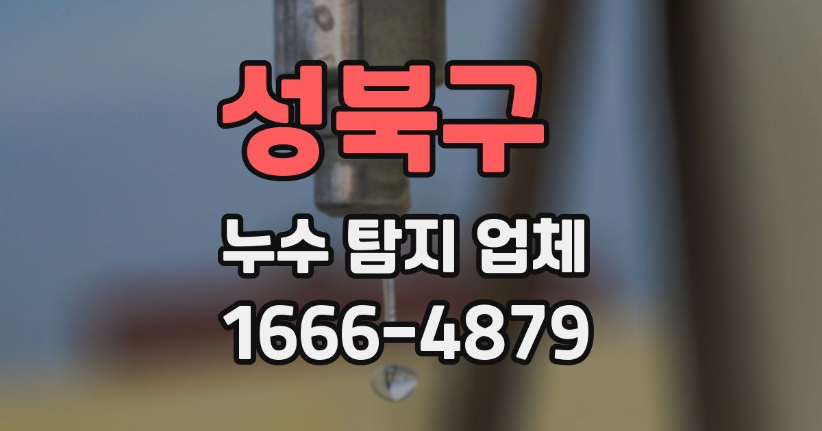 성북구 누수 탐지 업체