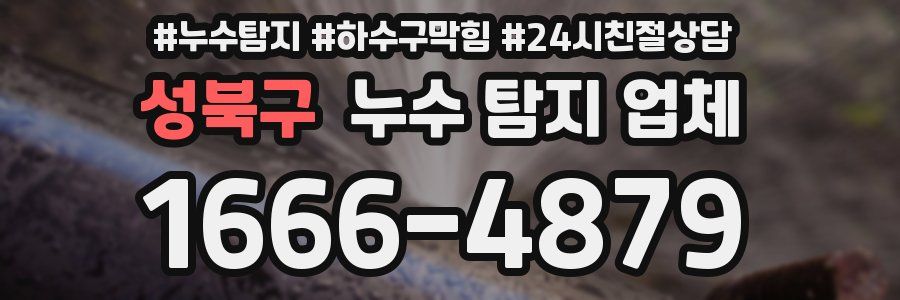 성북구 누수 탐지 업체