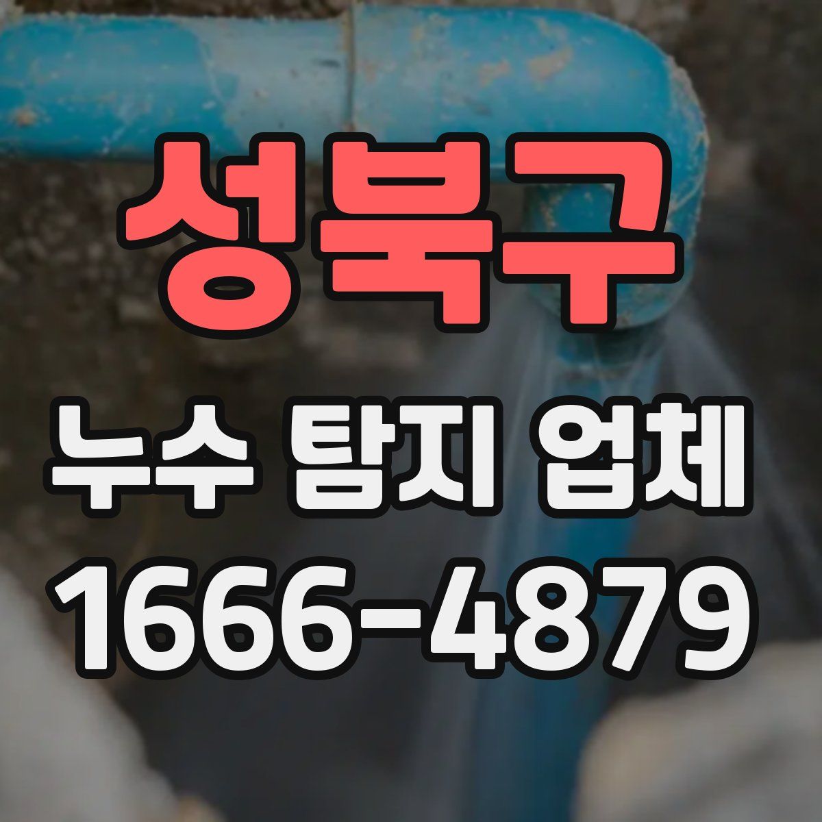 성북구 누수 탐지 업체