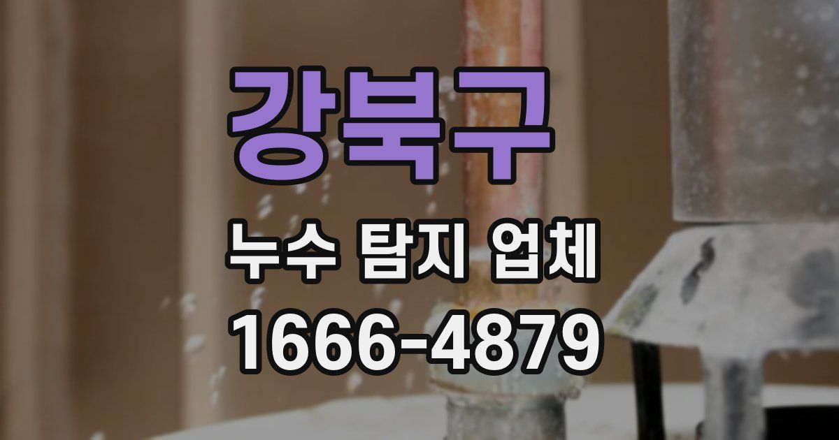 강북구 누수 탐지 업체