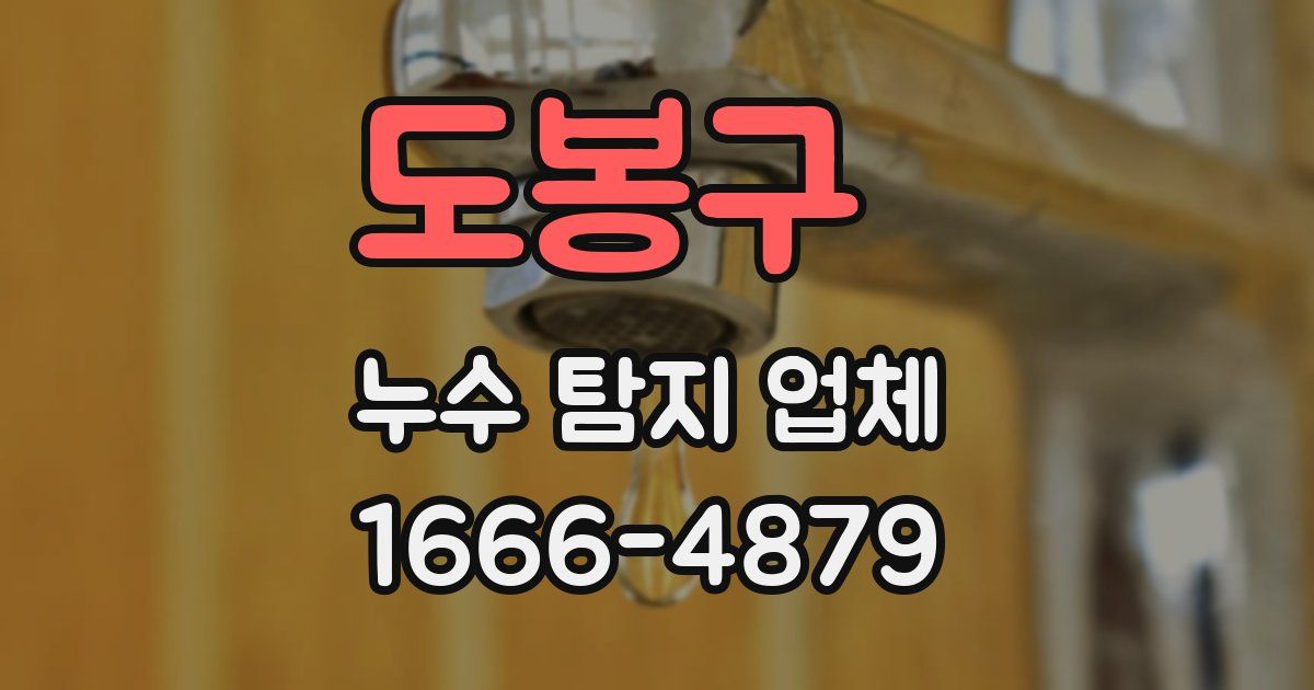 도봉구 누수 탐지 업체