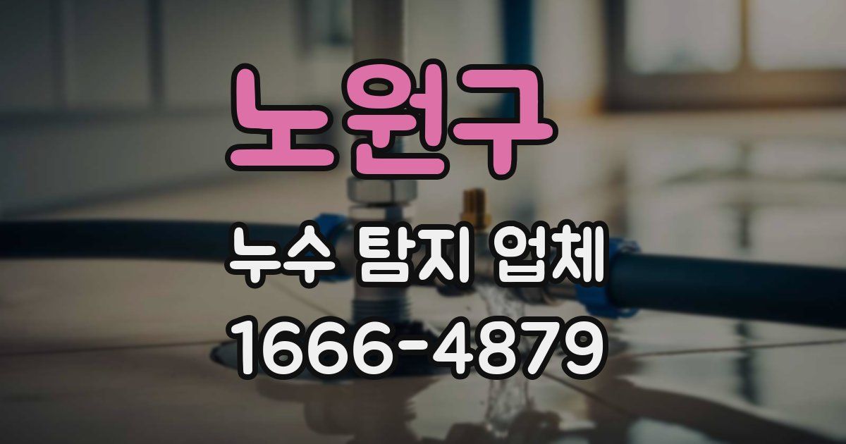 노원구 누수 탐지 업체