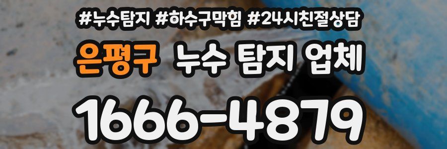 은평구 누수 탐지 업체