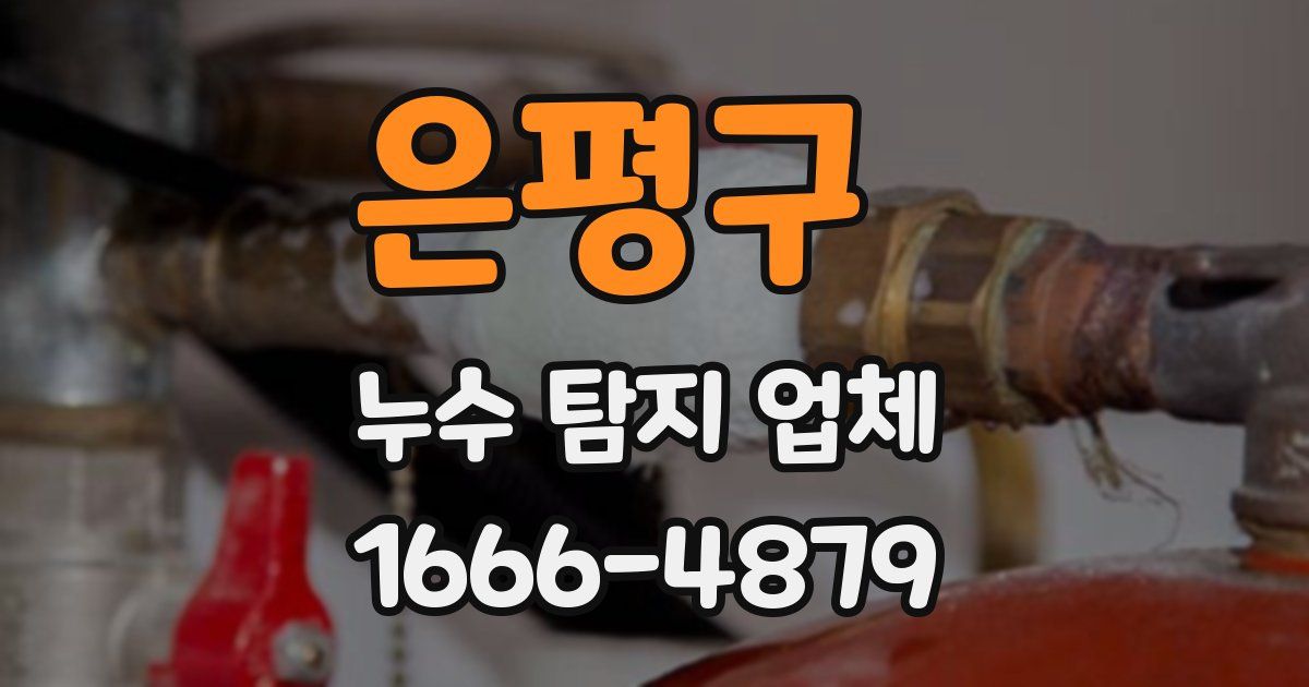 은평구 누수 탐지 업체