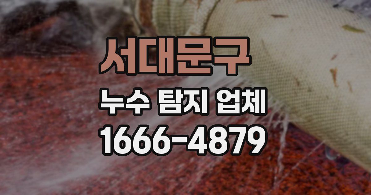 서대문구 누수 탐지 업체