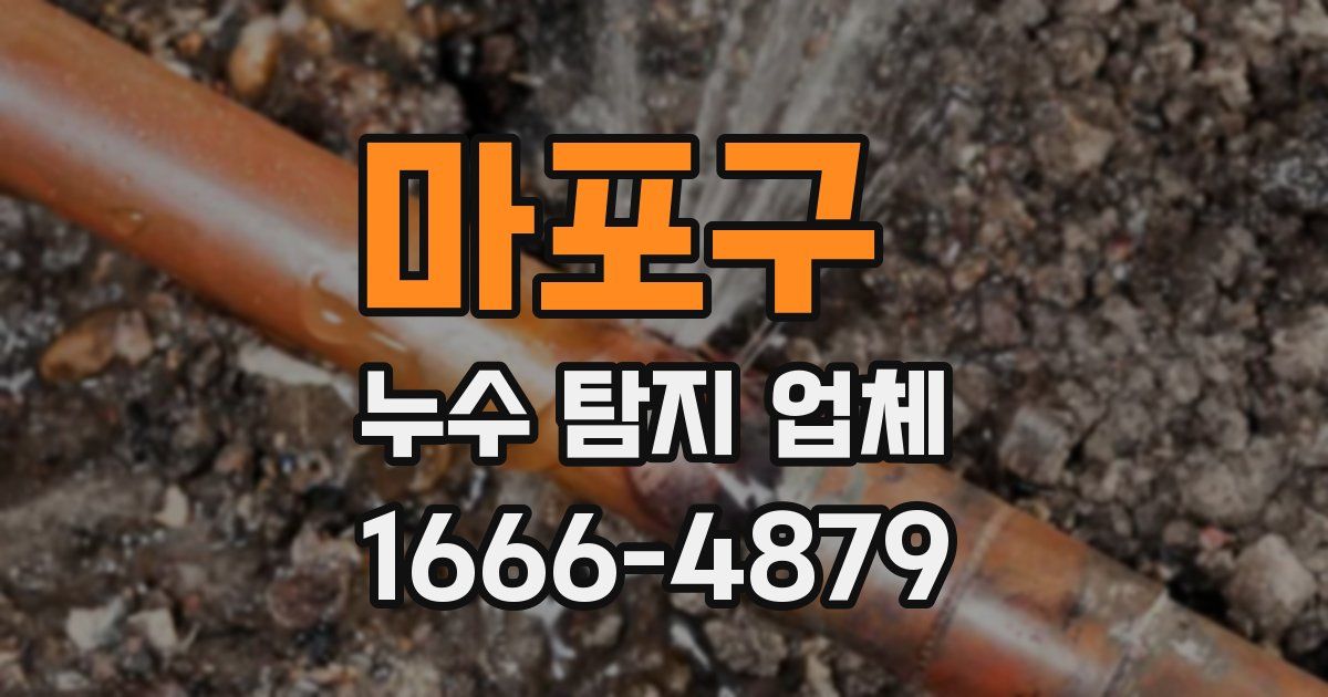 마포구 누수 탐지 업체