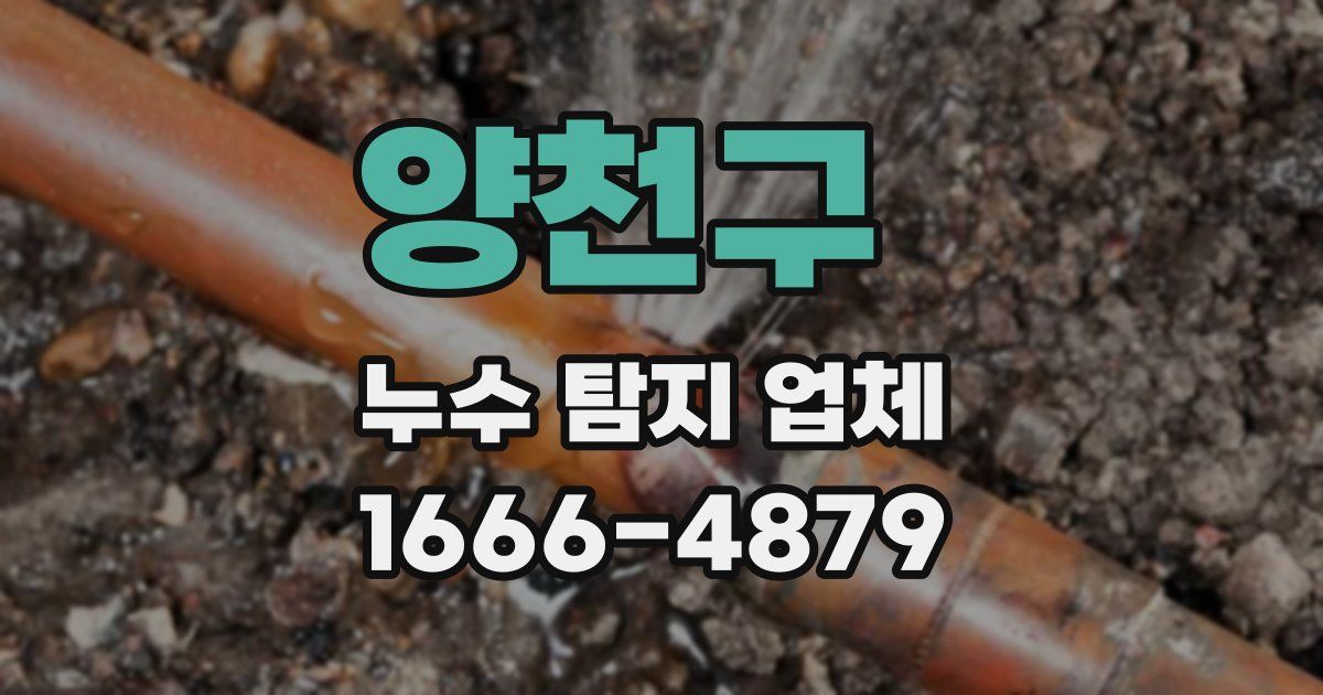 양천구 누수 탐지 업체