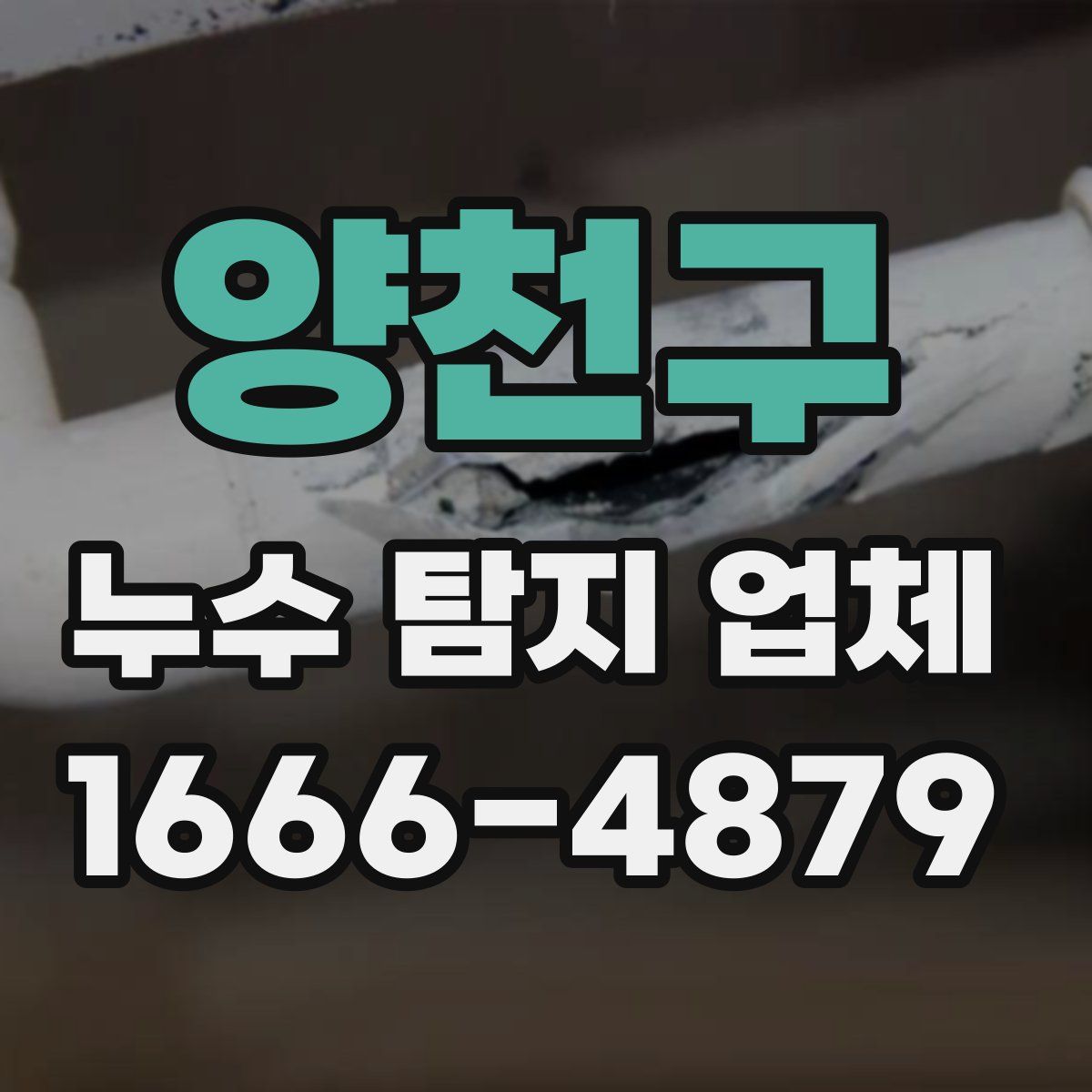 양천구 누수 탐지 업체