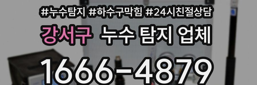 강서구 누수 탐지 업체