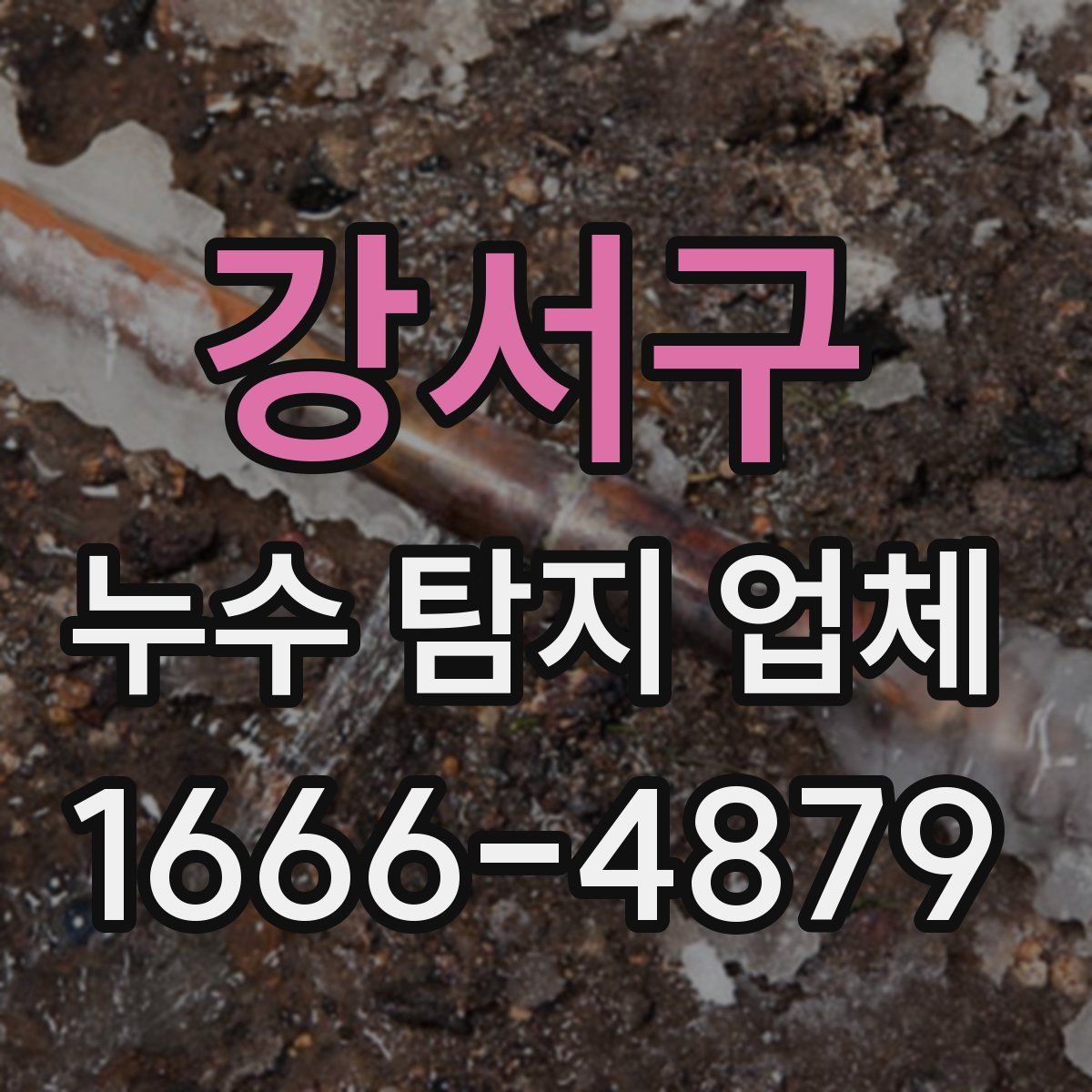 강서구 누수 탐지 업체