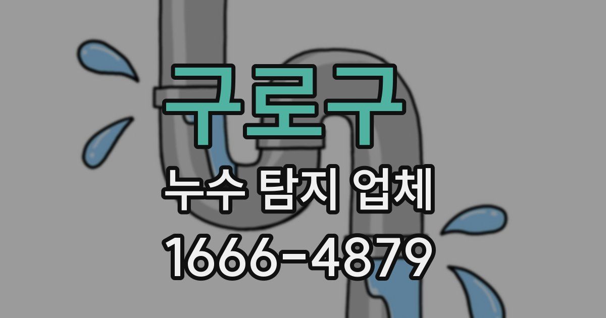 구로구 누수 탐지 업체