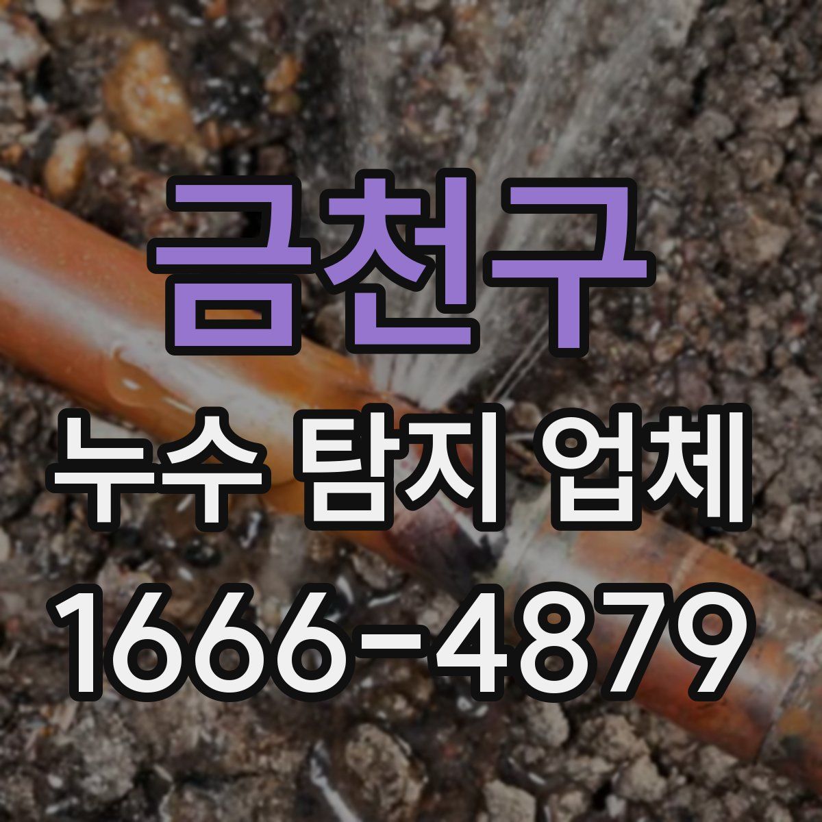 금천구 누수 탐지 업체