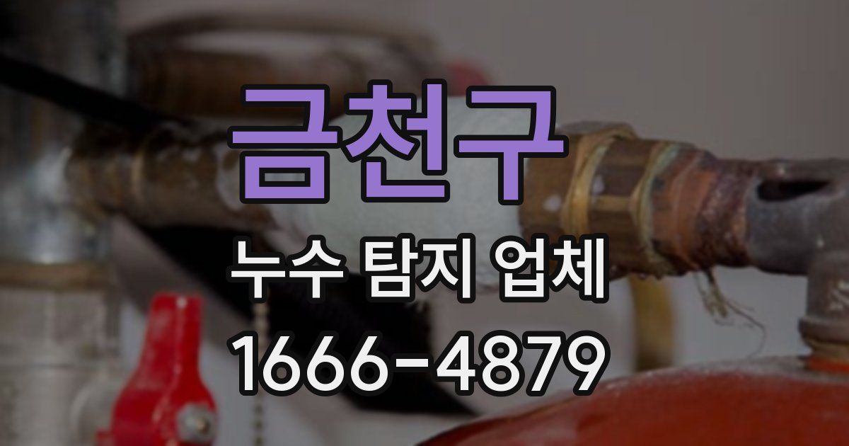 금천구 누수 탐지 업체