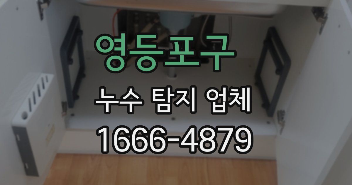 영등포구 누수 탐지 업체