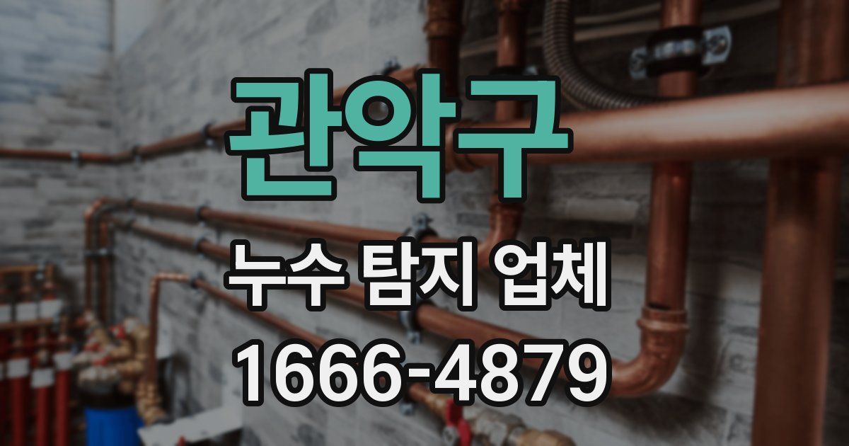 관악구 누수 탐지 업체