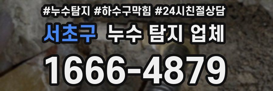 서초구 누수 탐지 업체