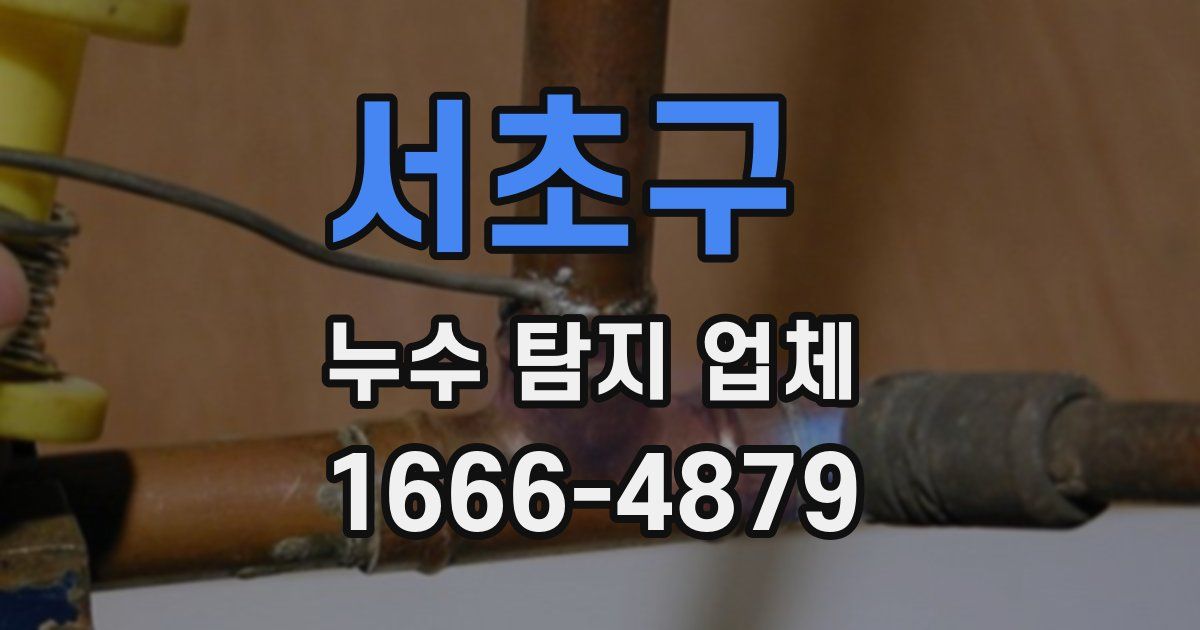 서초구 누수 탐지 업체