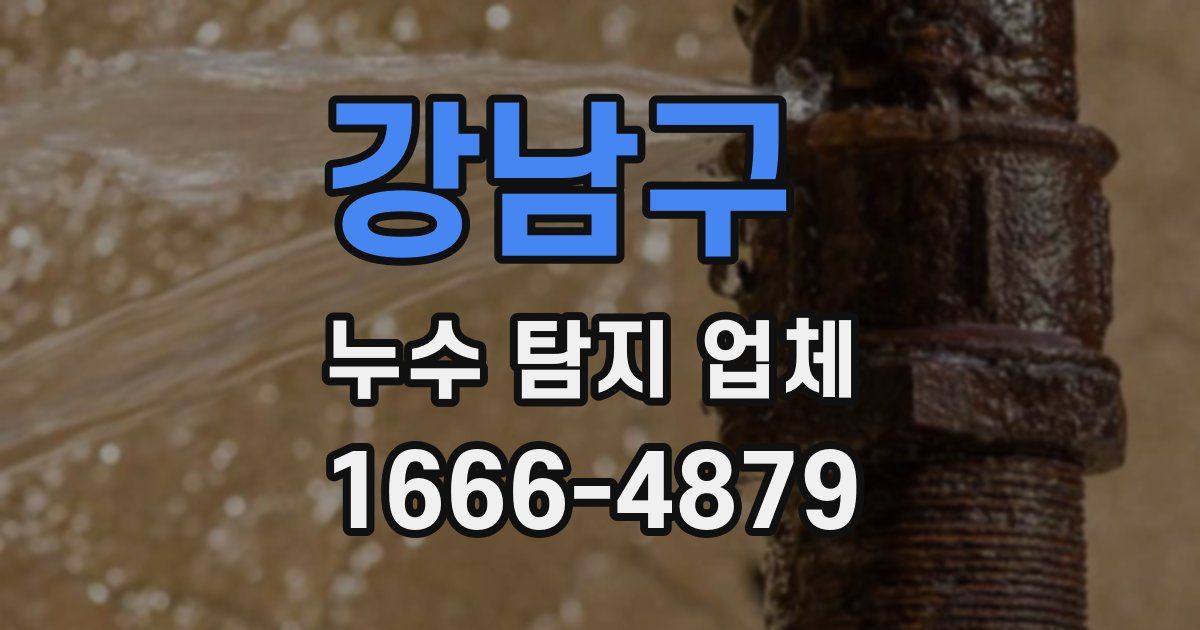 강남구 누수 탐지 업체