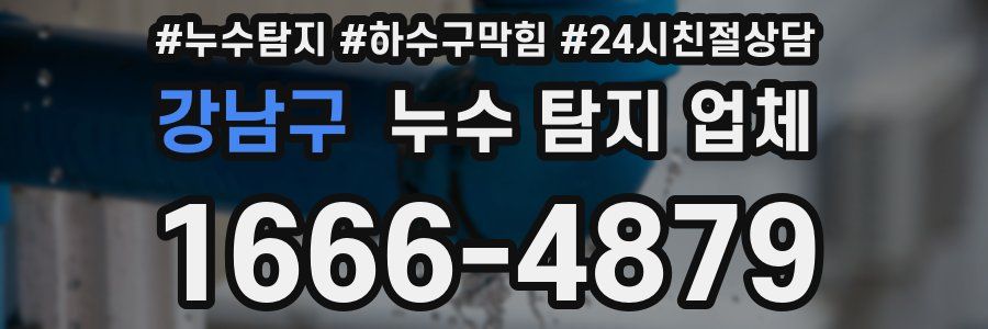 강남구 누수 탐지 업체