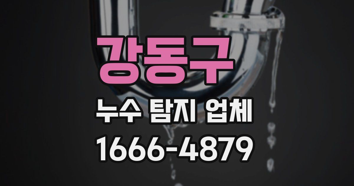 강동구 누수 탐지 업체