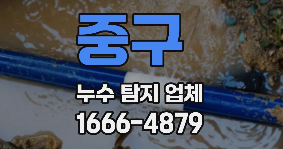 중구 누수 탐지 업체