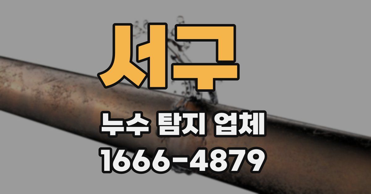 서구 누수 탐지 업체