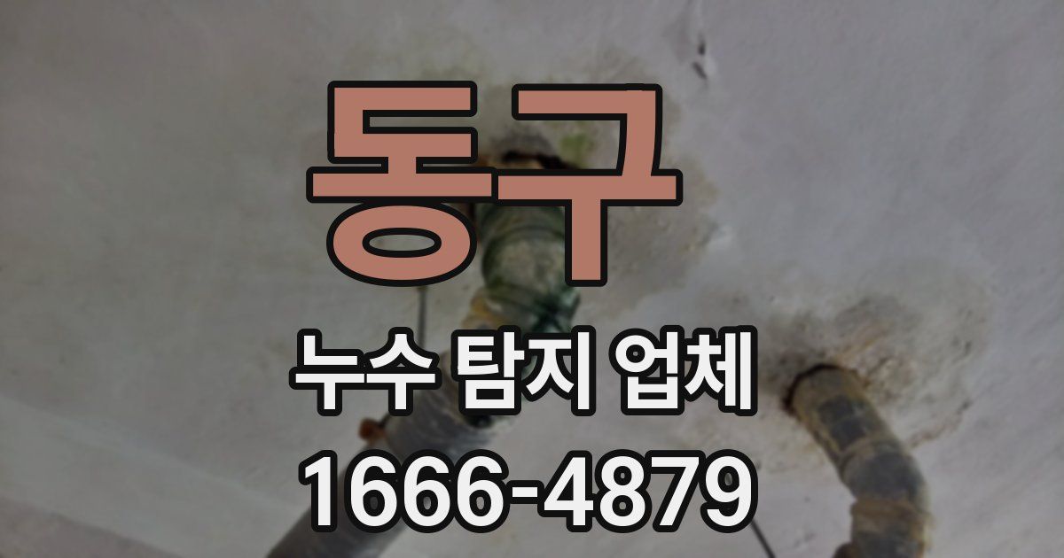 동구 누수 탐지 업체
