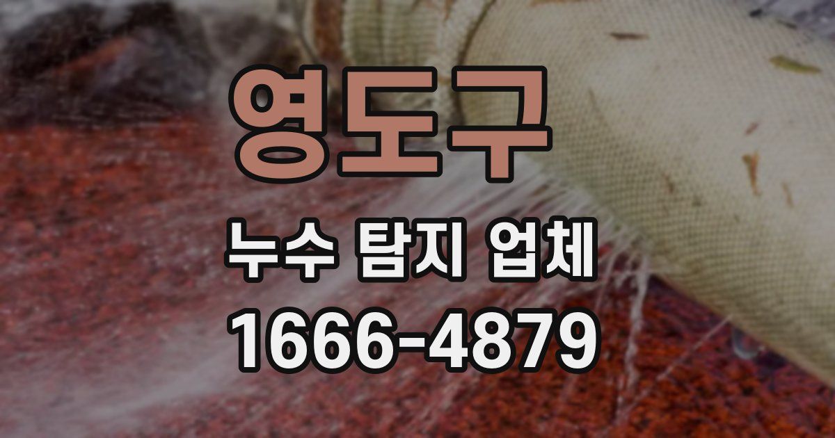 영도구 누수 탐지 업체