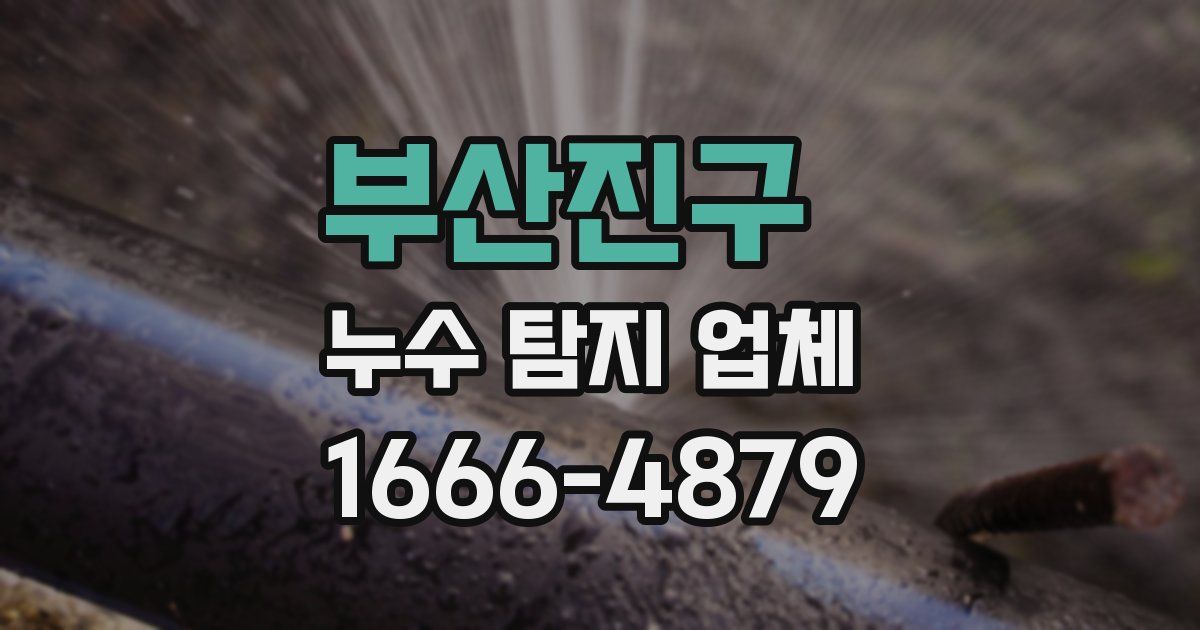 부산진구 누수 탐지 업체