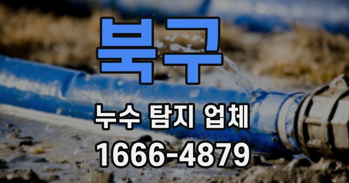 북구 누수 탐지 업체