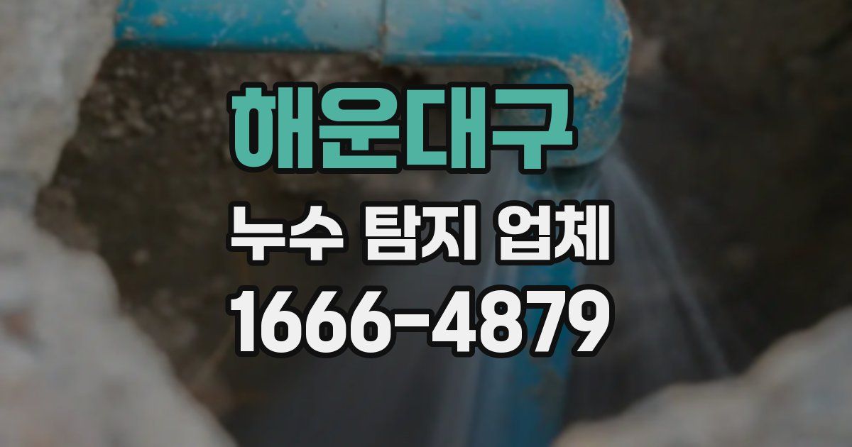해운대구 누수 탐지 업체