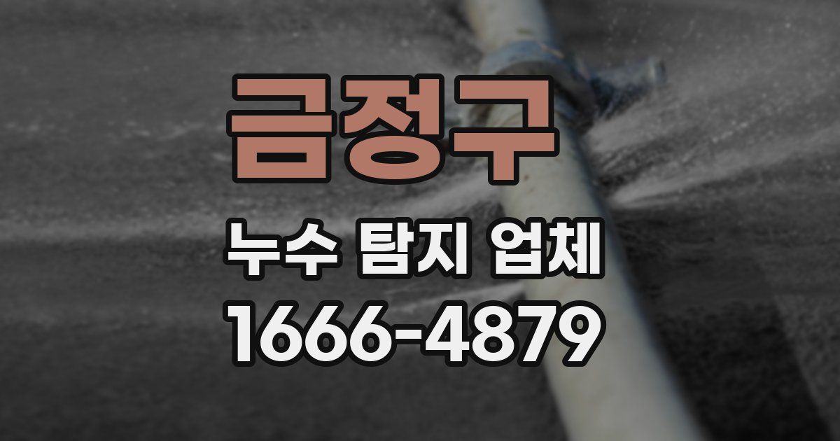 금정구 누수 탐지 업체
