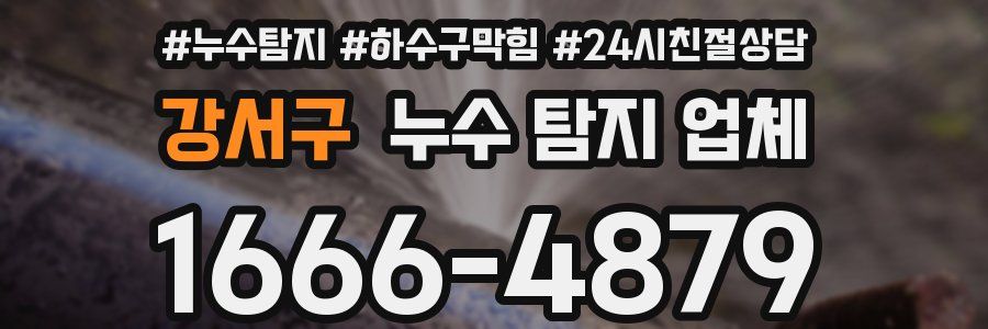 강서구 누수 탐지 업체
