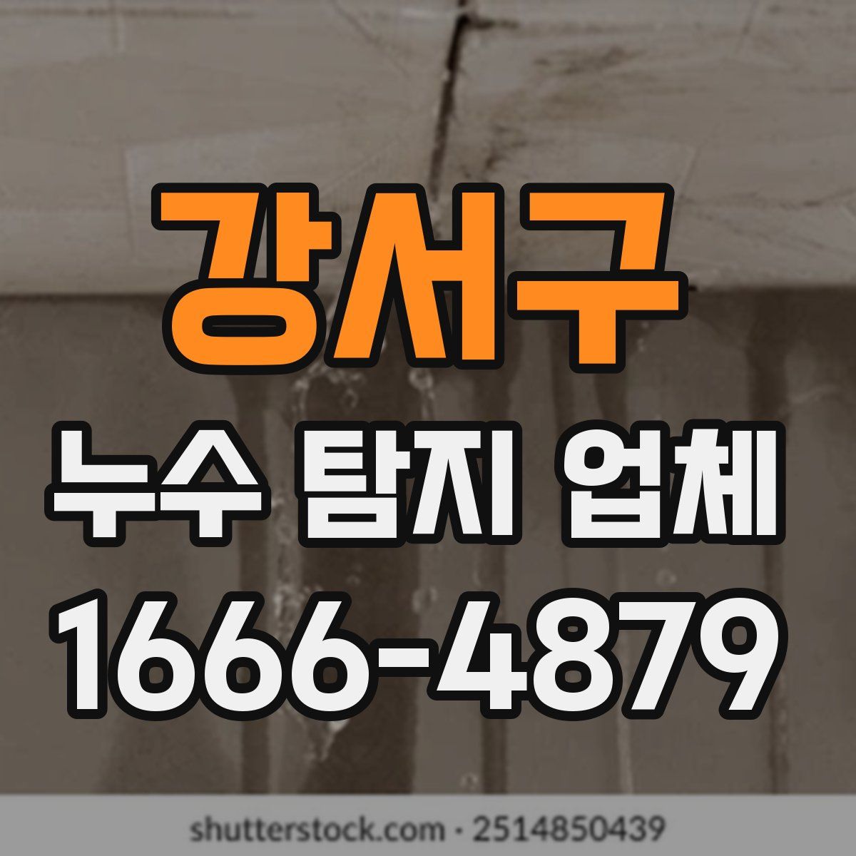강서구 누수 탐지 업체