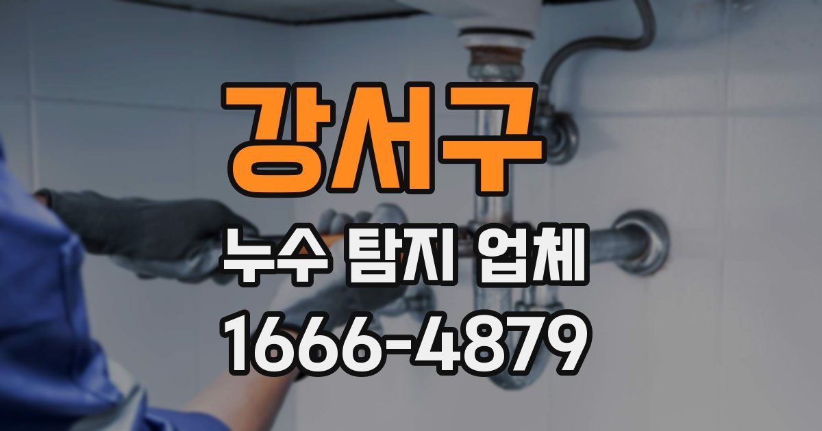 강서구 누수 탐지 업체