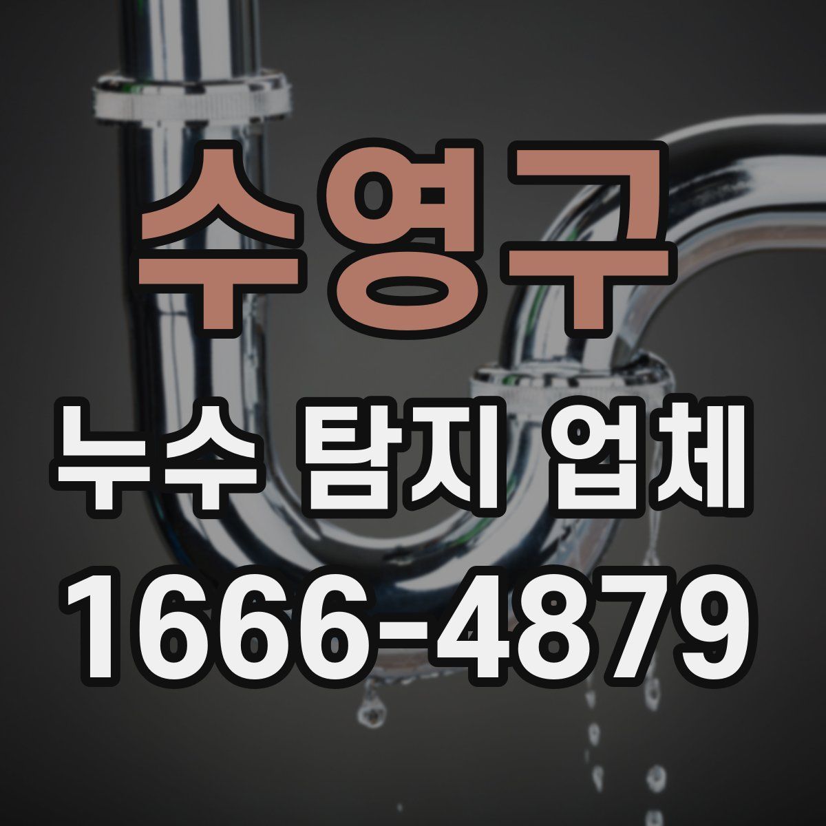 수영구 누수 탐지 업체