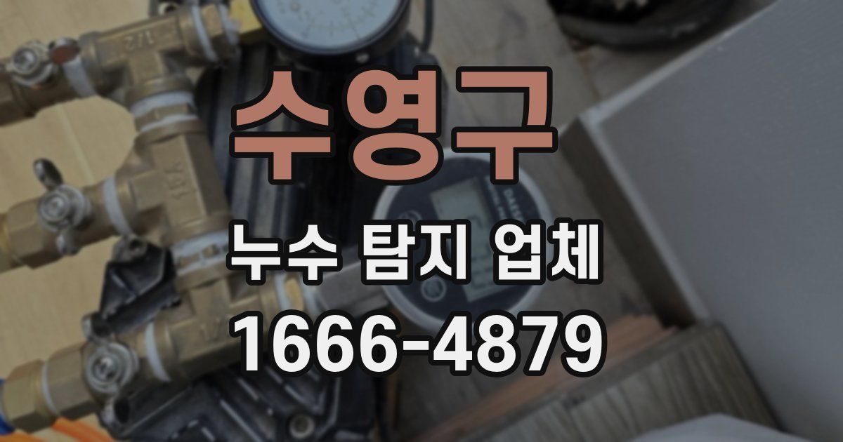 수영구 누수 탐지 업체