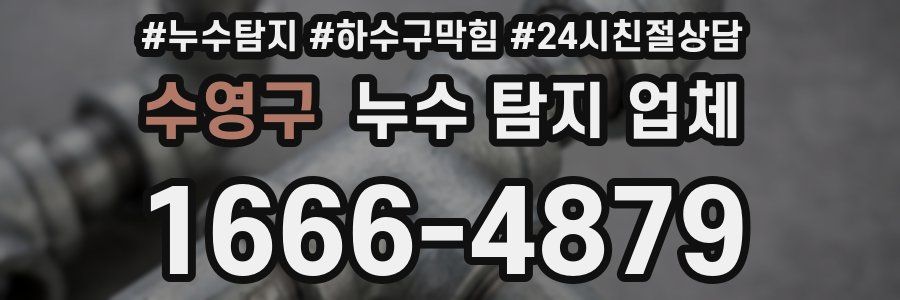 수영구 누수 탐지 업체