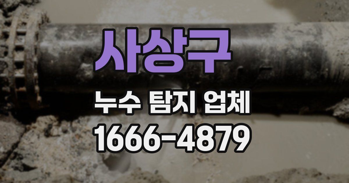 사상구 누수 탐지 업체