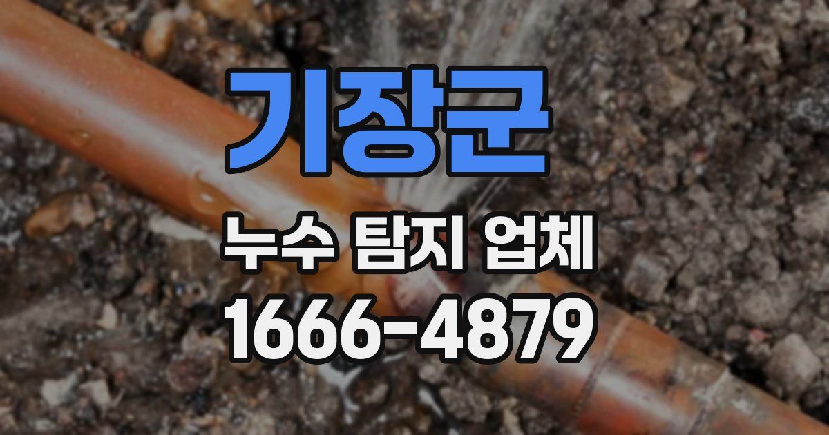 기장군 누수 탐지 업체