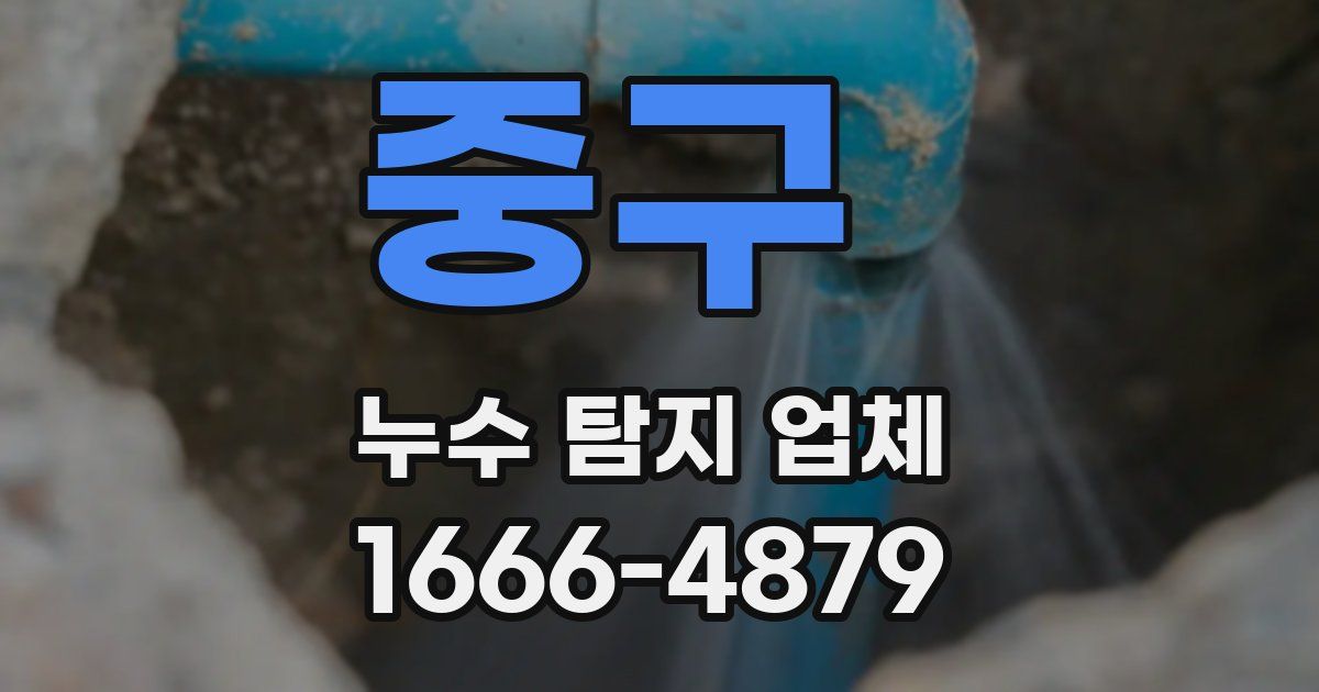 중구 누수 탐지 업체