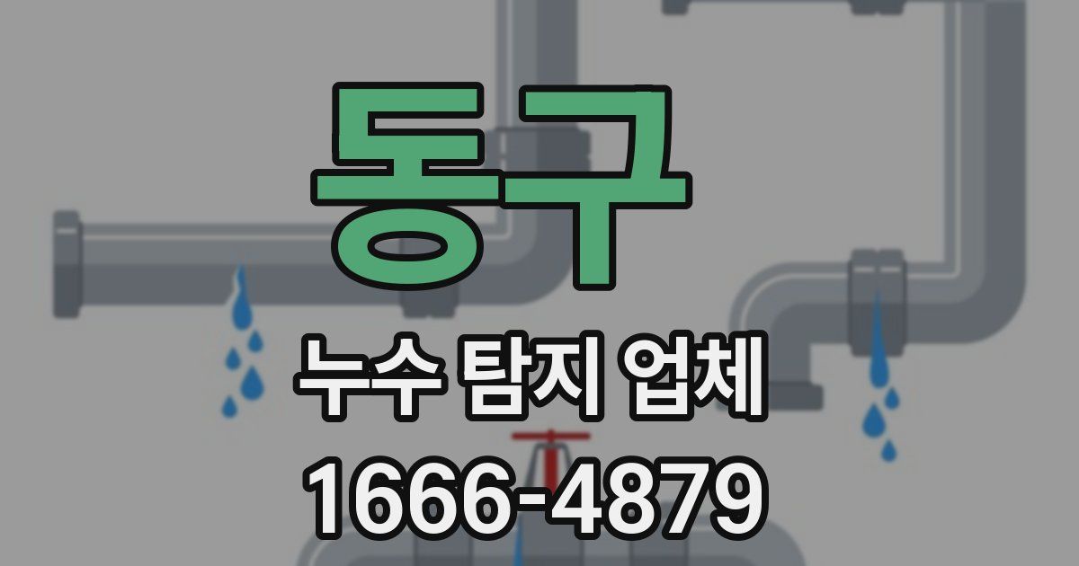 동구 누수 탐지 업체