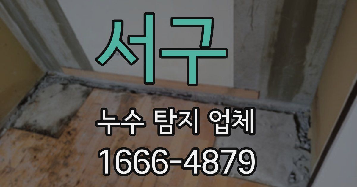 서구 누수 탐지 업체