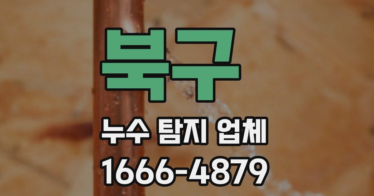 북구 누수 탐지 업체