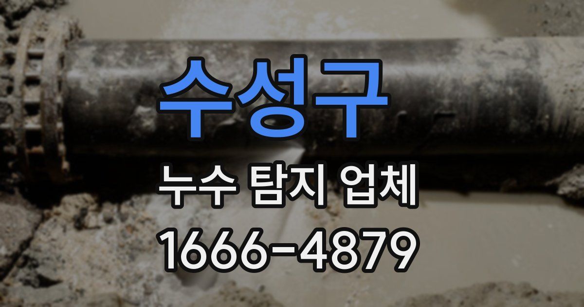 수성구 누수 탐지 업체
