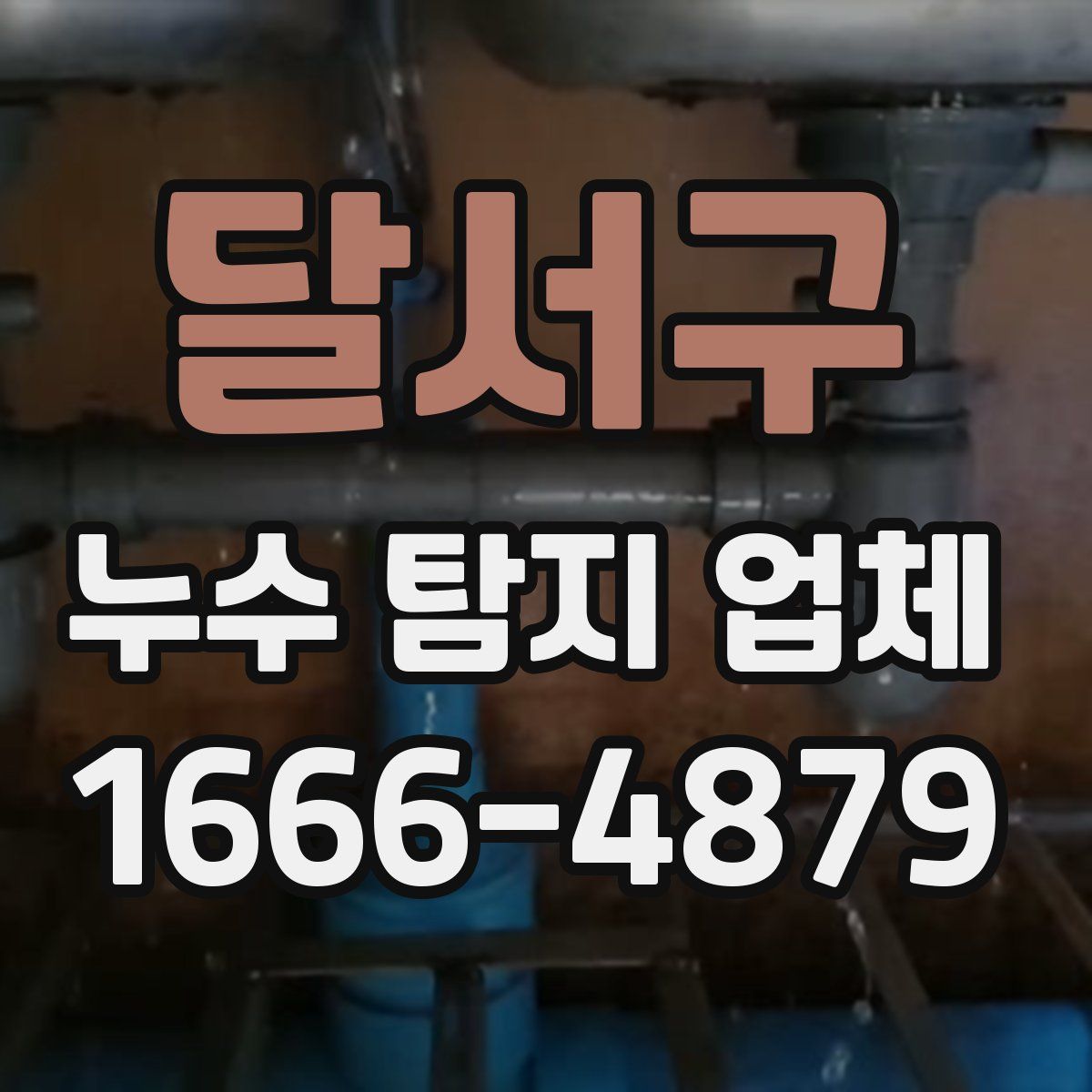달서구 누수 탐지 업체