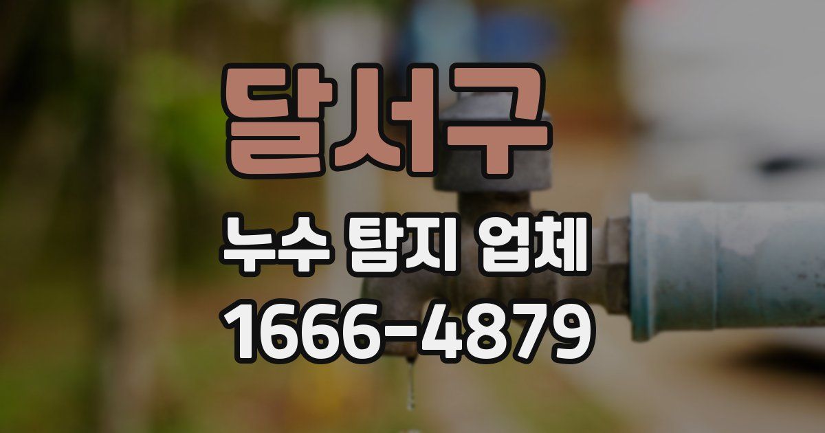 달서구 누수 탐지 업체